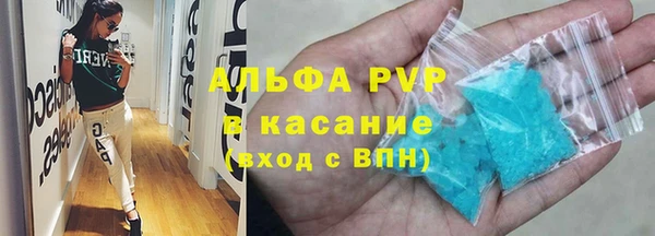 гашик Горняк