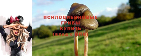 гашик Горняк