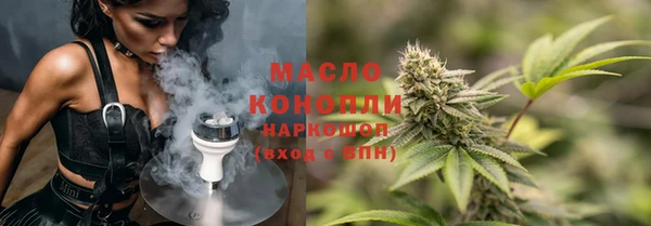 гашик Горняк