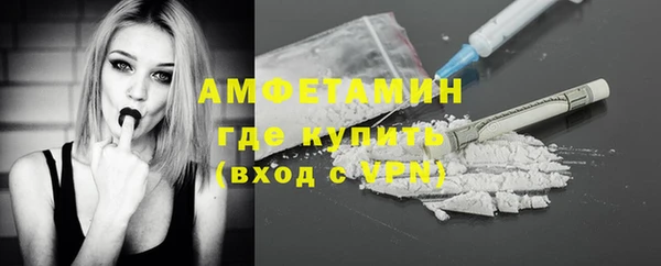 гашик Горняк