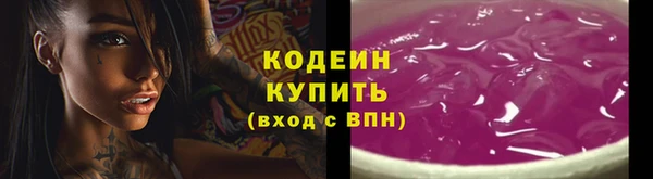 гашик Горняк