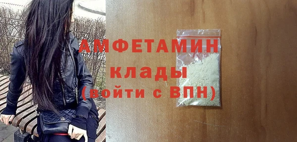 гашик Горняк