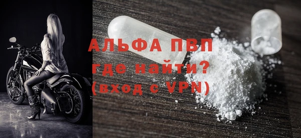 гашик Горняк