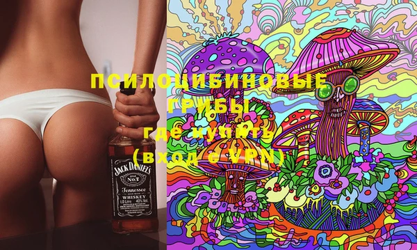 гашик Горняк