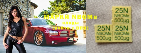 гашик Горняк