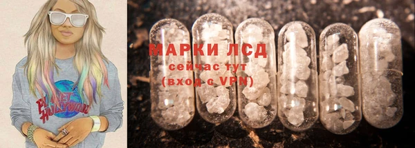 гашик Горняк