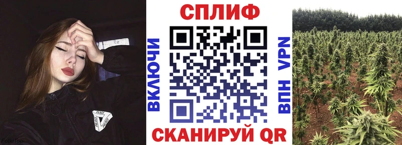 Каннабис AK-47  Тамбов 